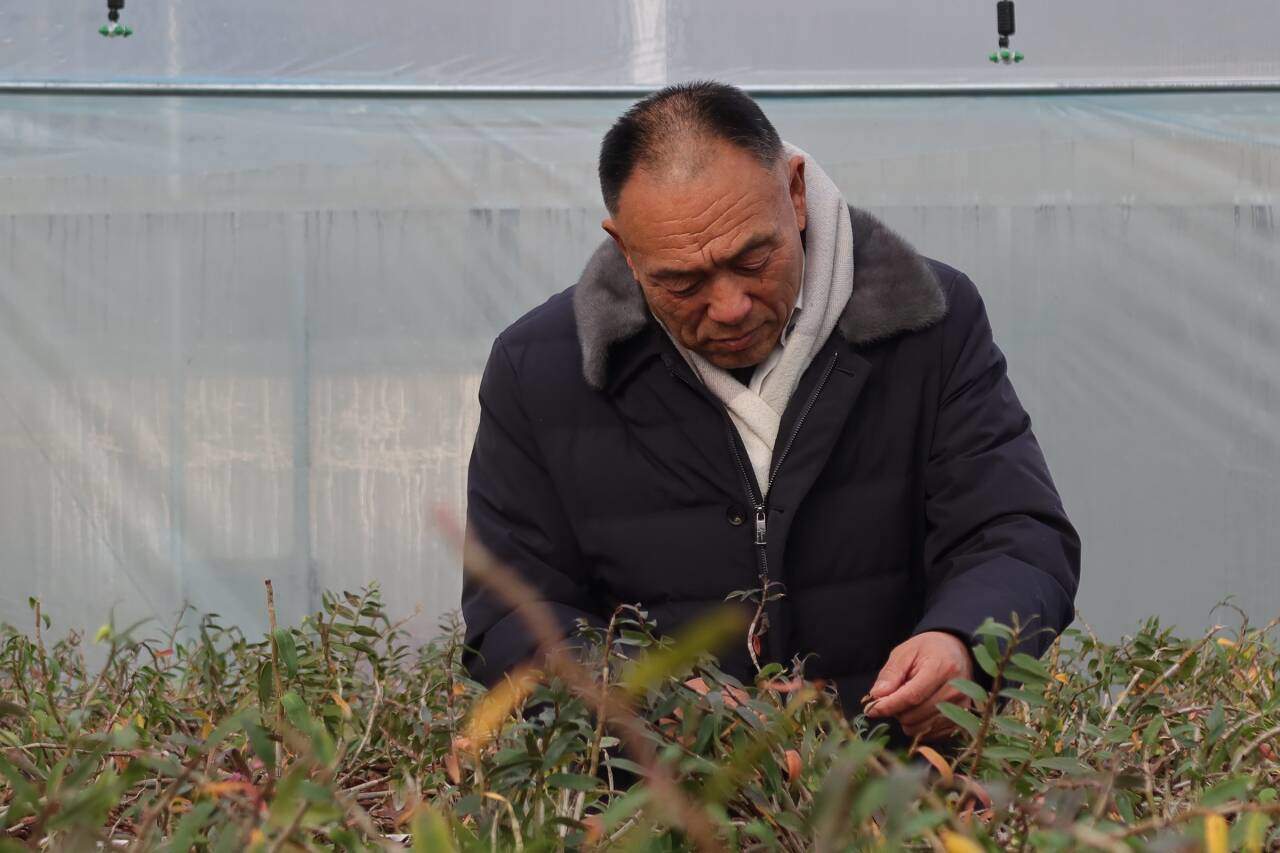 融媒·先锋｜联村共富记——一块田，一块甜