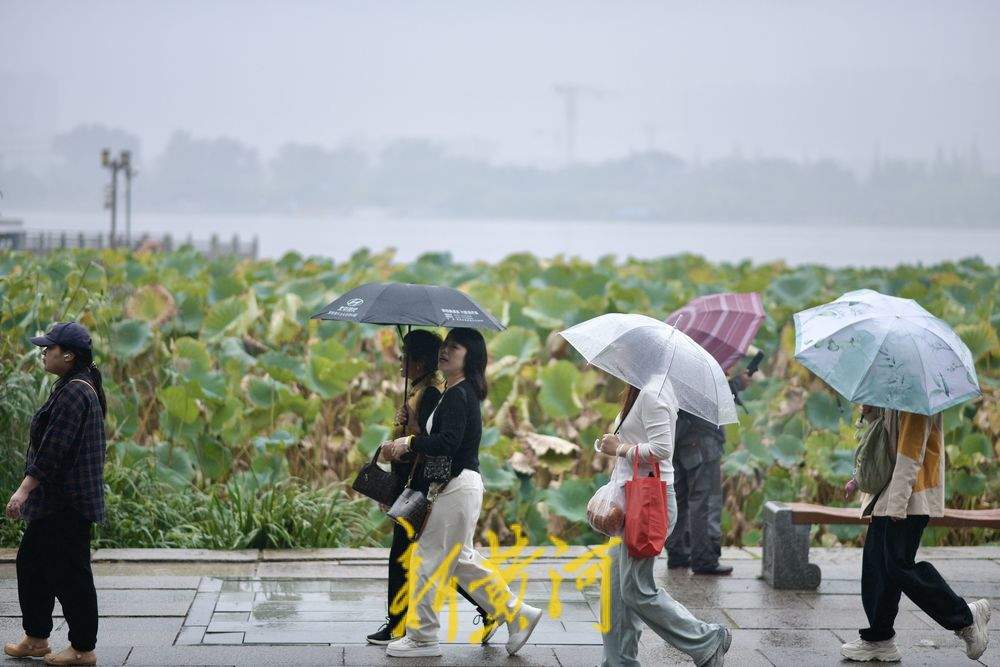 绵绵细雨中 大明湖如烟雨江南
