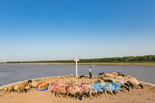 家住黄河边