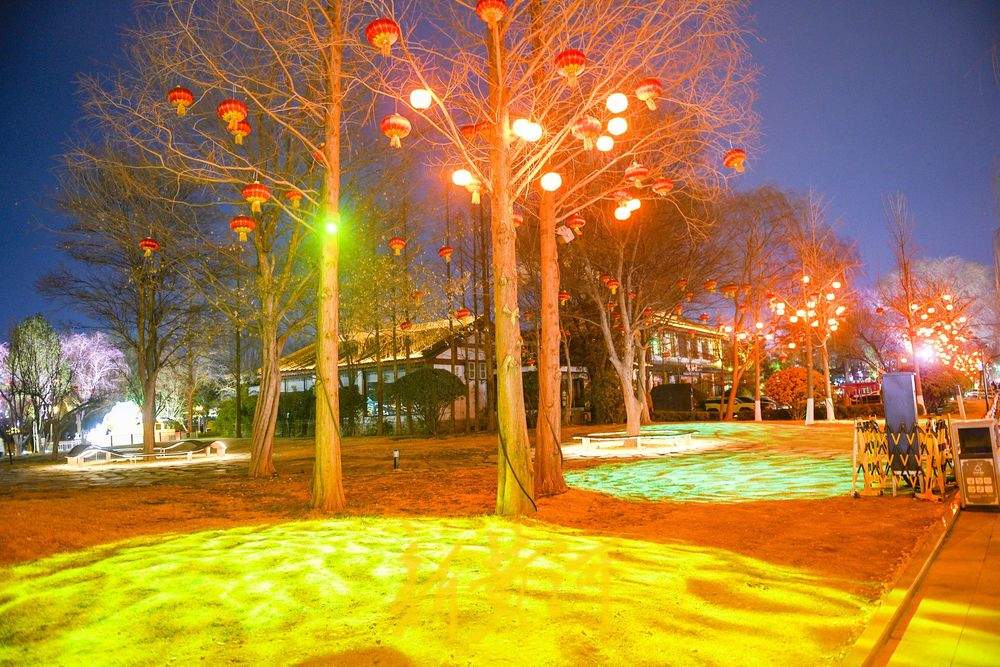 大明湖畔灯影璀璨 泉城年味儿瞬间拉满