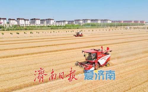 国际粮食减损 济南贡献粮方