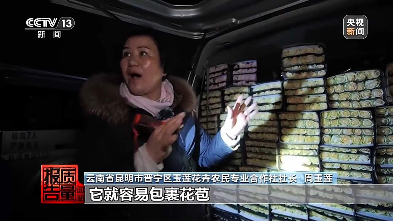 小鲜花大市场,这份美丽的事业正蓄势绽放