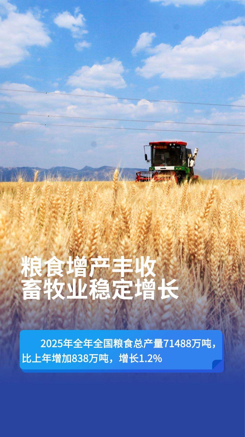 数览2025“年报”|向新向优,中国经济向好