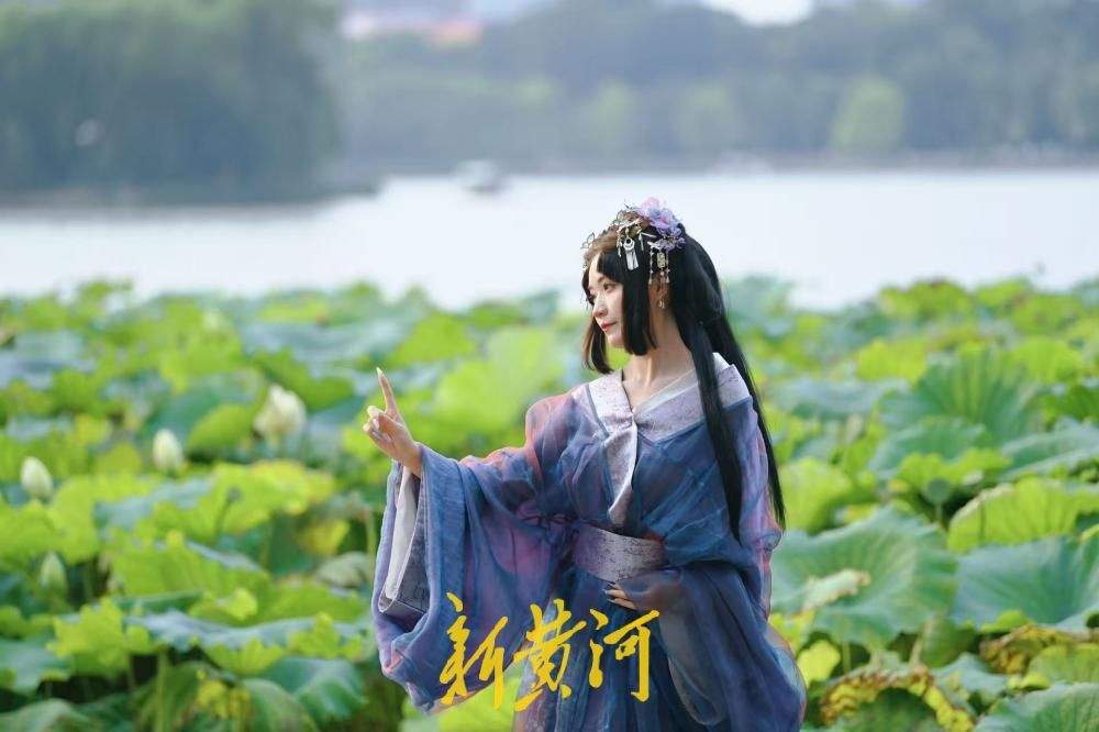 济南：大明湖落日荷塘游船同框，游客争相打卡