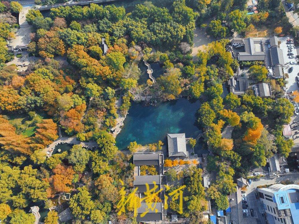 立冬时节，济南五龙潭景色如画