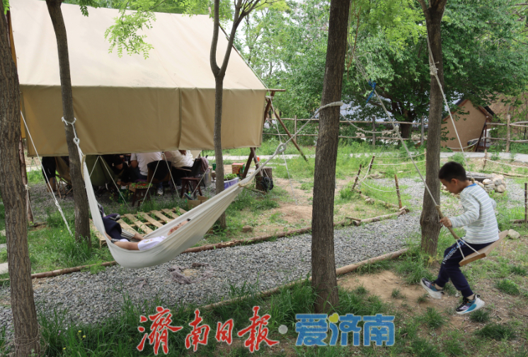 张夏街道“休闲庭院”假期火爆出圈