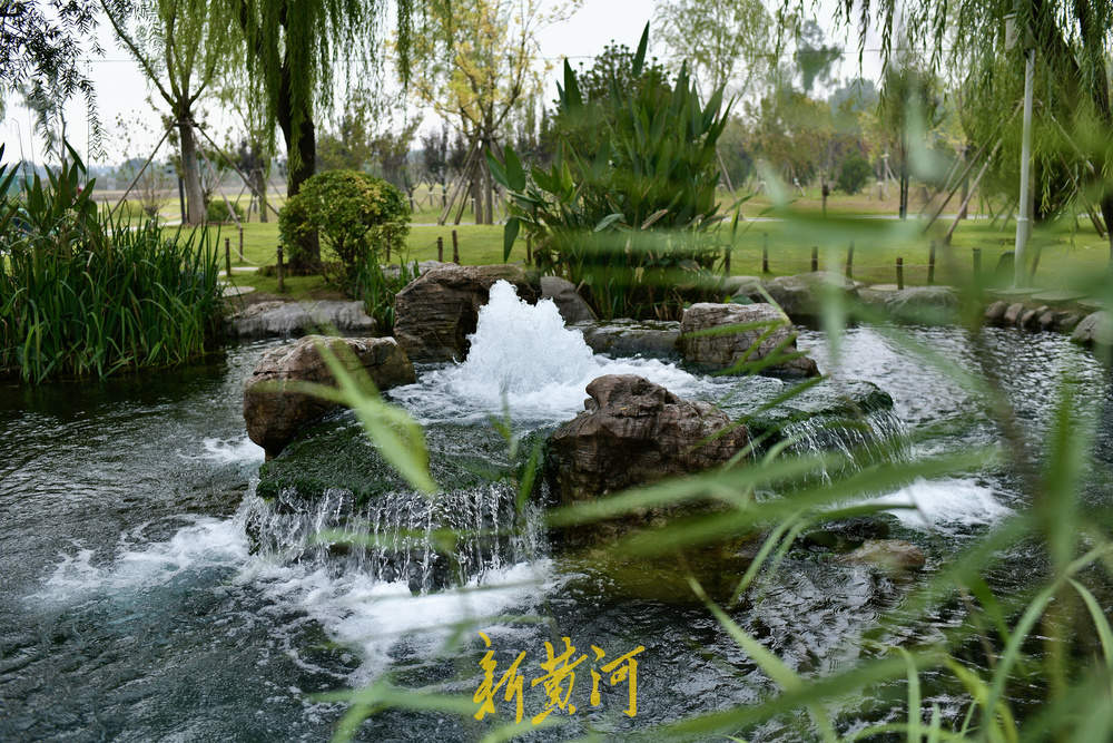 地下水位连日攀升 白泉现“喷珠溅玉”胜景