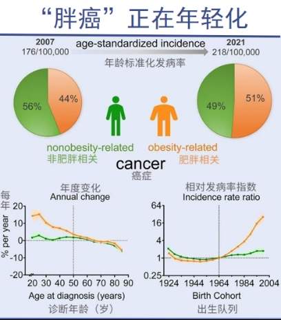 代谢危机下，减又二酯油如何破解传统食用油困局？