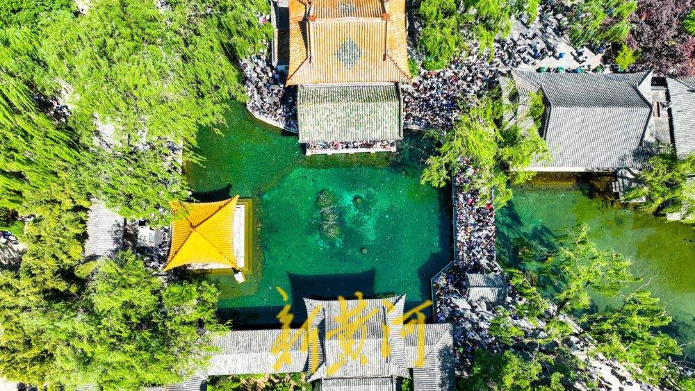 一年四季 泉在济南｜魅力满格人气爆棚，趵突泉景区实行单向通行