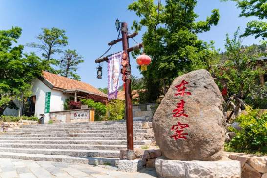 跳出“千村一面”，写好“特色一篇”，山东分类有序、片区化推进乡村振兴