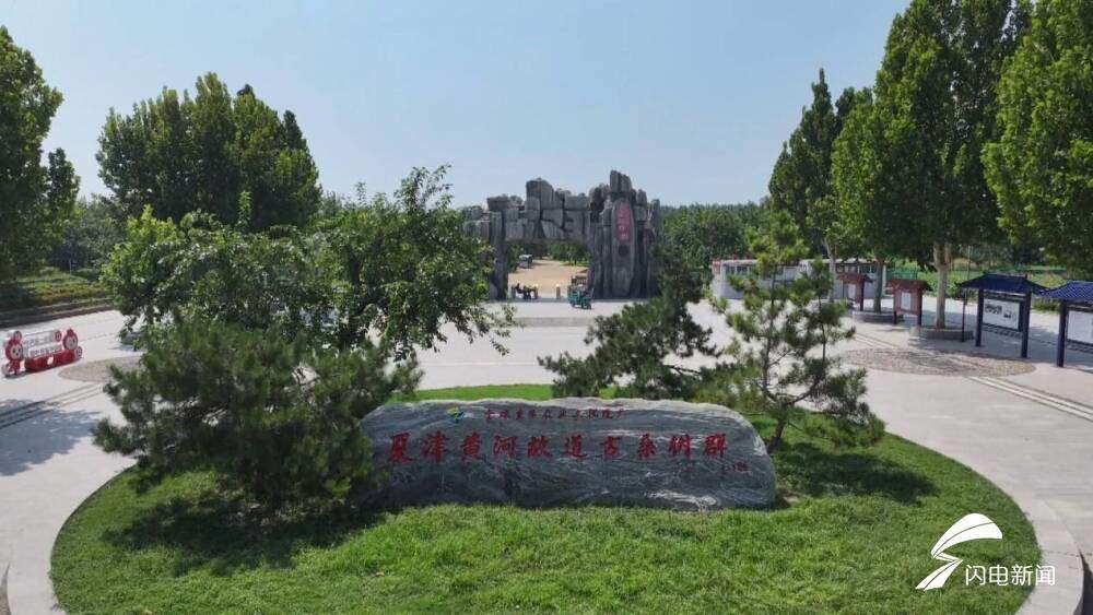 沿着黄河遇见海丨德州夏津：沙生绿 绿生金 古桑树群焕发新生机