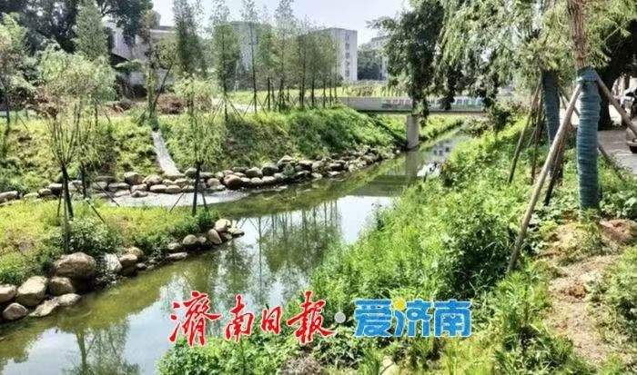 监管触角伸向“毛细血管”，济南这样守护家门口的小微水体