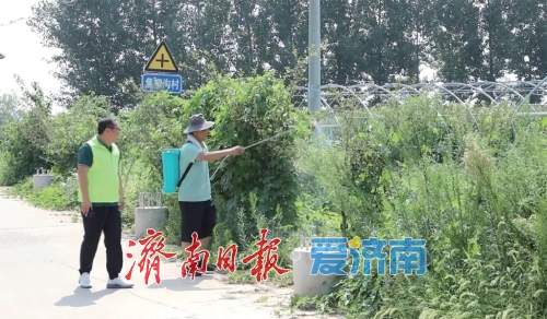 多维创新赋能乡村振兴 济南实践绘就民生新图景