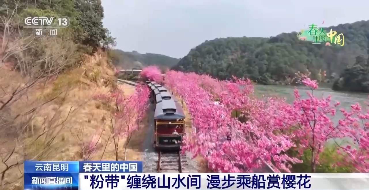 各地春日赏花有哪些好去处？请看这份赏花攻略