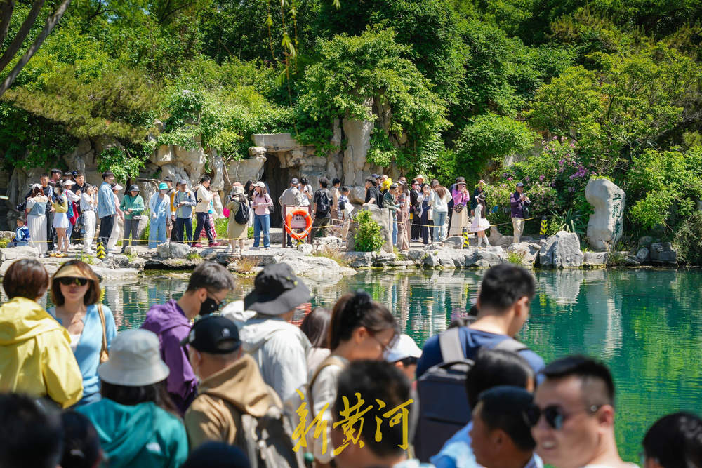 一年四季 泉在济南｜济南五龙潭公园风景如画 游客尽享假日时光