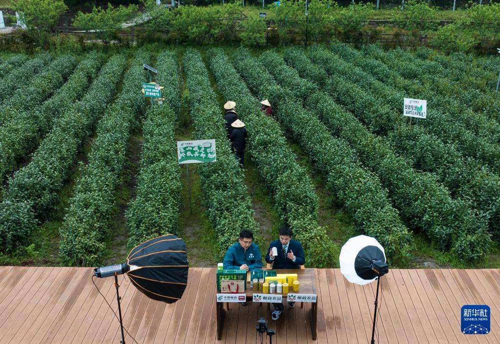 从深山云雾到都市茶杯：从一件包裹里看劳动之变