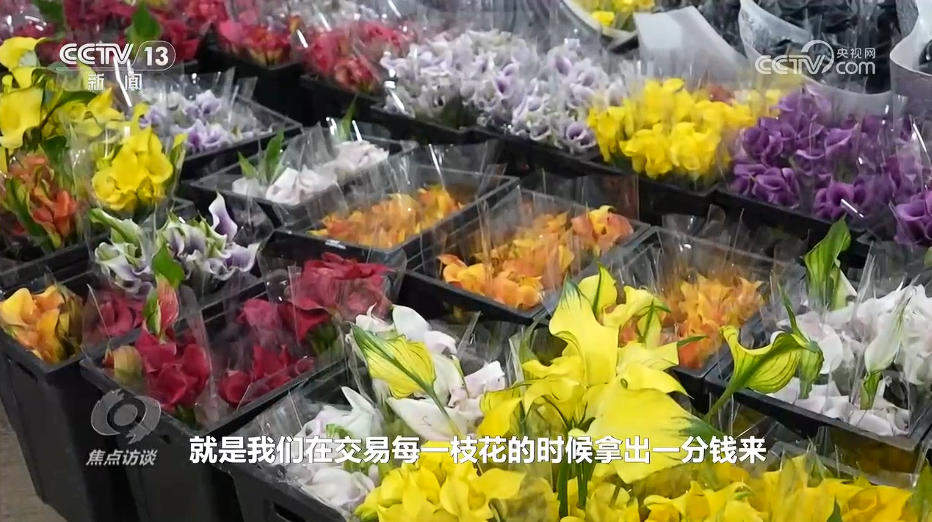 焦点访谈｜“幸福产业”书写乡村振兴“花样”答卷