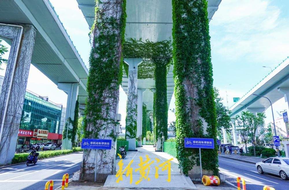 济南顺河高架桥下空间巧利用  非机动车停车场免费开放