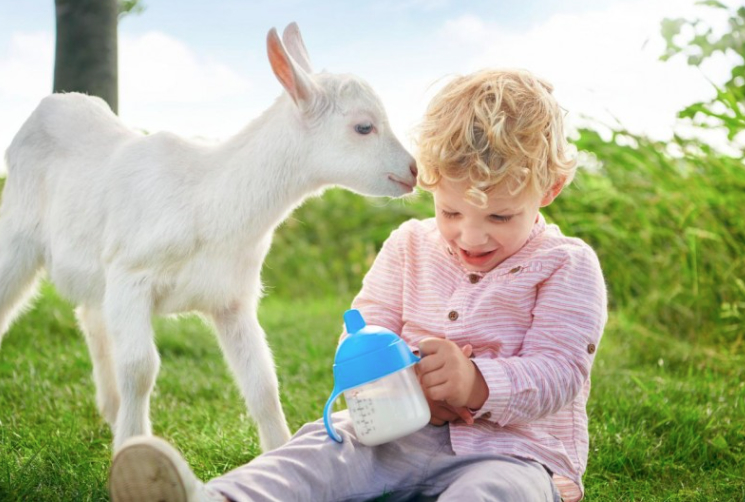 婴儿奶粉选购指南，一文带你选中放心奶粉