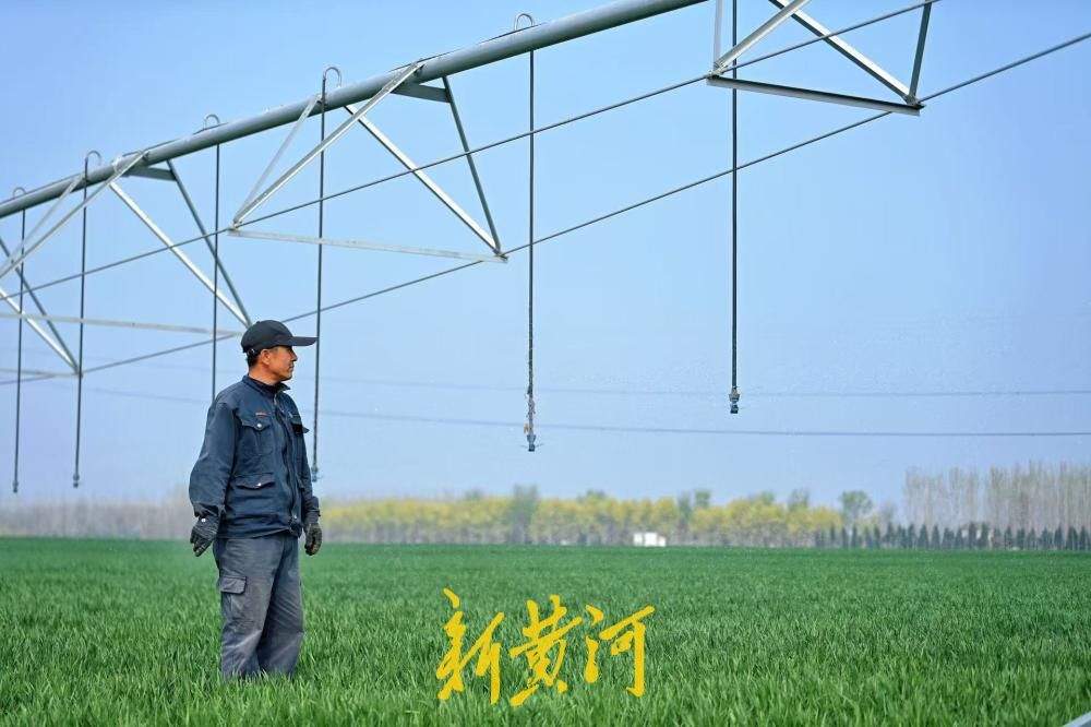 麦田里的“黑科技”，立体式春灌助力小麦春耕春管