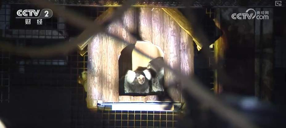 “八小时外”消费火热 夏日经济“夜动力”撬动消费“夜”态新引擎