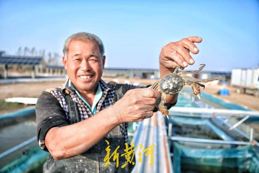 板上发电板下养蟹 济南黄河大闸蟹迎来丰收季