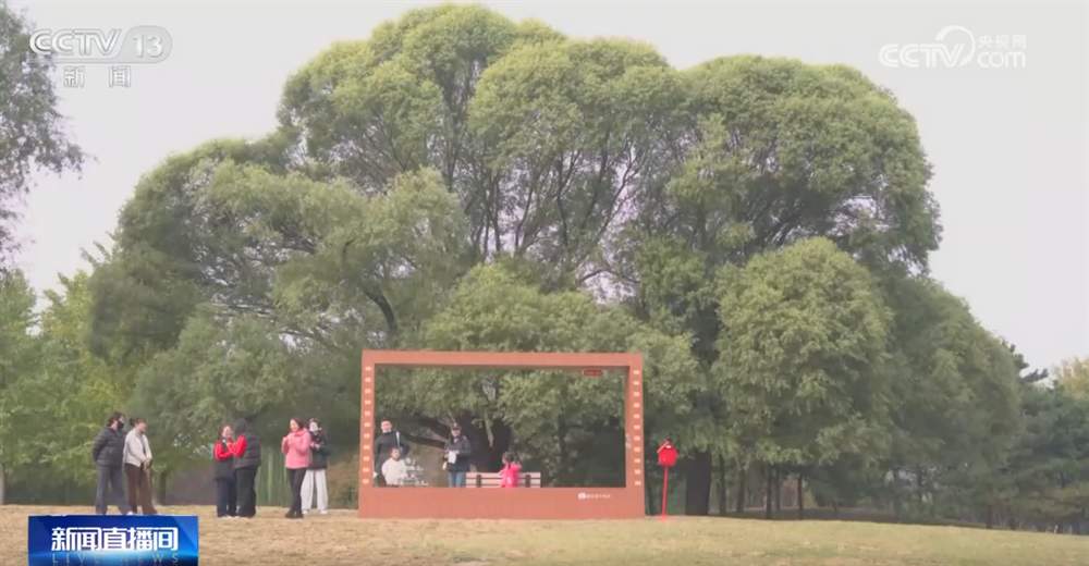 打造“赏秋游”新体验 “秋日经济”带火文旅消费