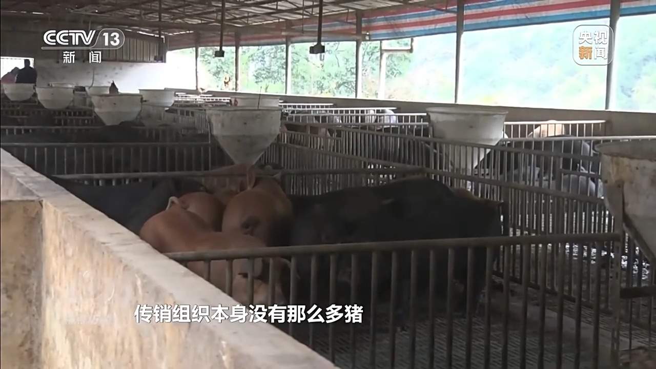 已有数万人被骗 起底“云养殖”里的骗局