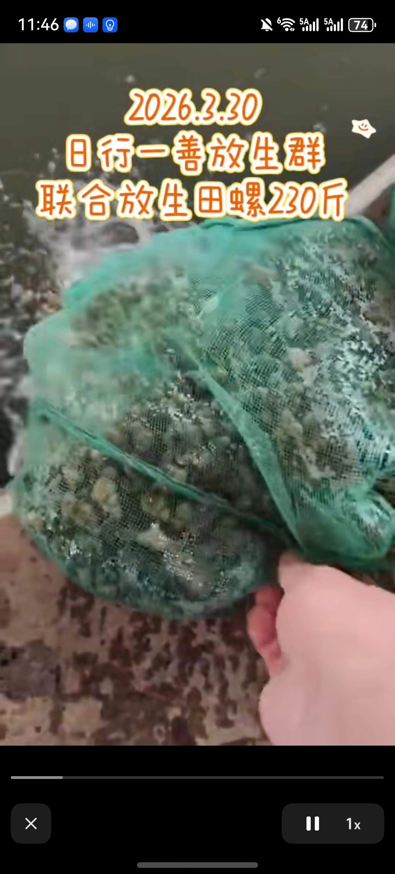 “功德”被明码标价 揭开直播间“打赏放生”的生态隐患