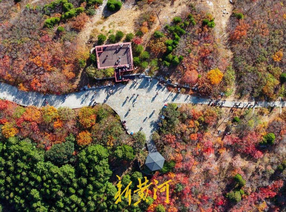 一年四季 泉在济南丨层峦焕彩！秋染蚰蜒山 登高赏彩林