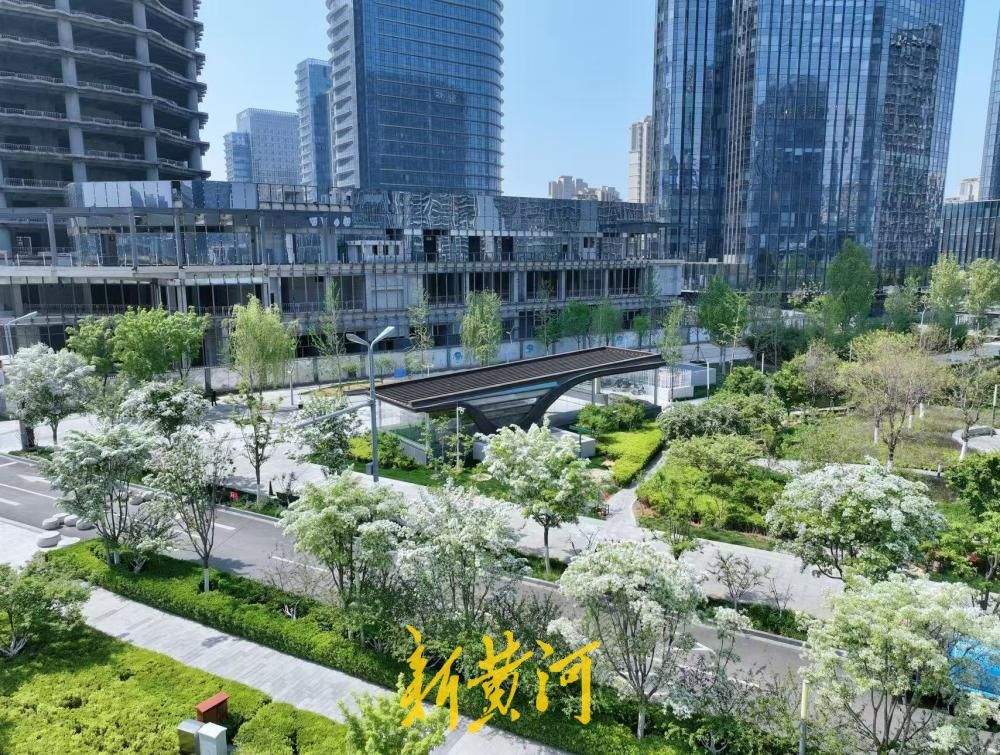 繁花似锦、绿意盎然，济南中央商务区地铁站被“浪漫”包围
