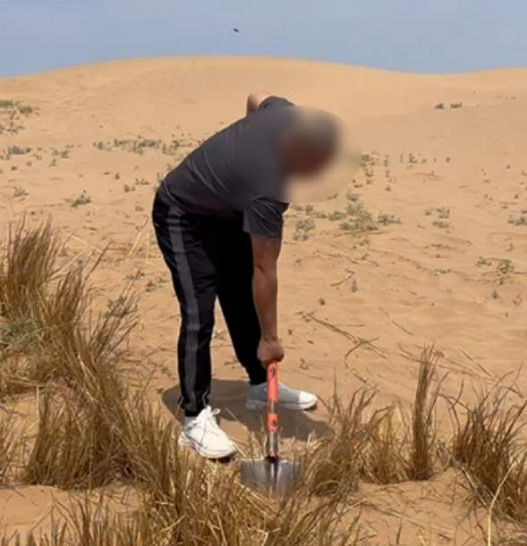 男子违法砍树503棵被判到荒漠植绿 躬身自省弥补过错！