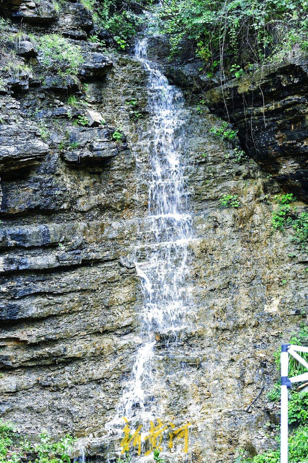 一年四季 泉在济南丨石崖峭壁汇聚山泉 龙洞风景区再现夏日限定美景