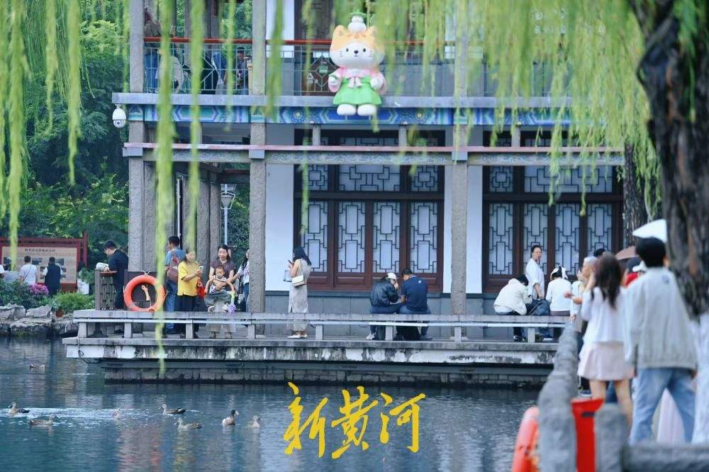 中秋到济南五龙潭，看锦鲤畅游清泉