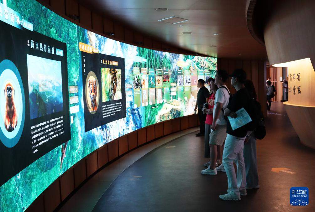 记者手记｜在大阪世博会感受多彩中国