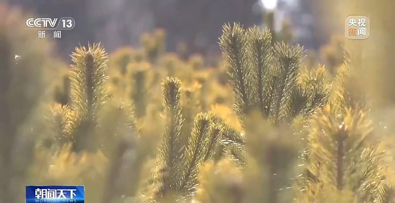 让每滴水发挥最大价值！三北工程攻坚战这样拧紧“水龙头”