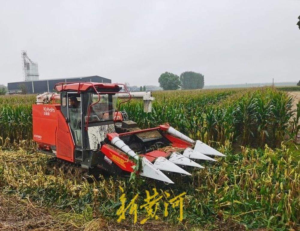 泉城秋收回望图丨抢与援！田间地头的倾情守护