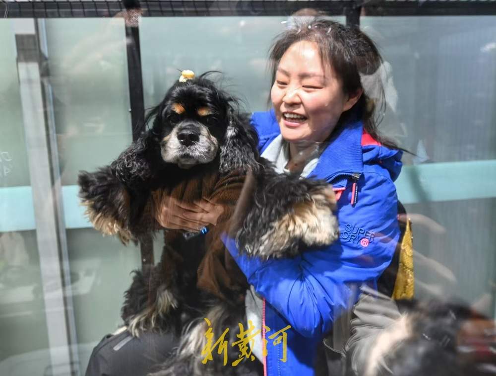 萌宠坐高铁到济南西站了！全国首趟提供高铁宠物托运服务的列车抵达