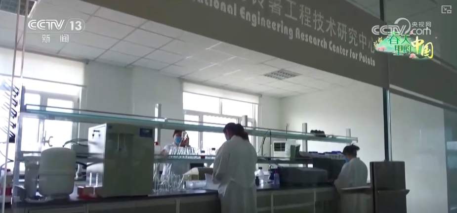 科技赋能农业生产 “良种+托管”夯实粮食丰收基础