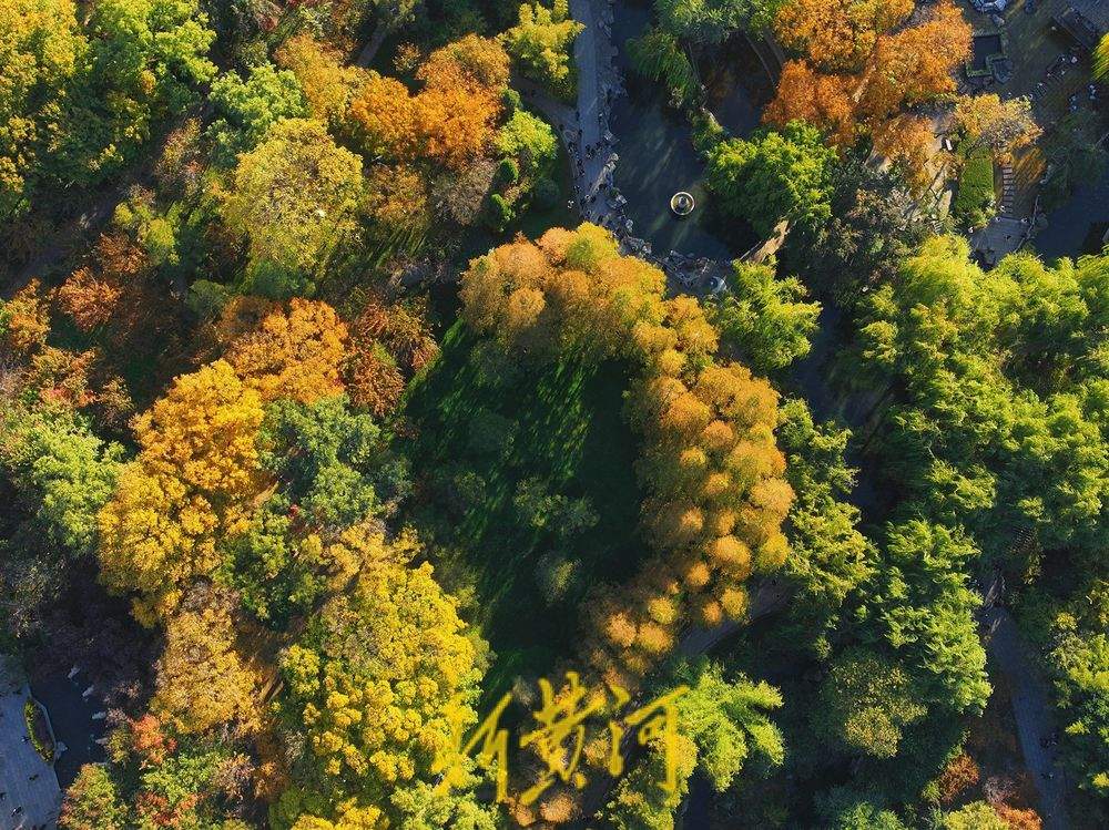 五彩斑斓，五龙潭呈现最美晚秋景色