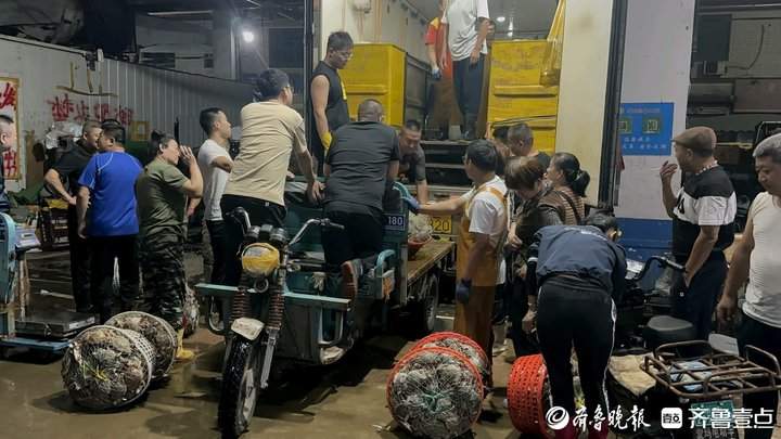 声声呼唤中，济南“海老板”们等到众“鲜”归来