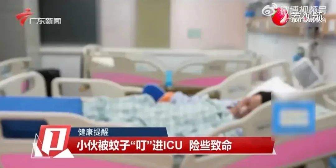 广州一小伙被咬后住进ICU！这种病重症死亡率高达20%，近期高发