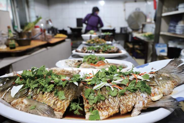 镜观·回响｜生态美，旅游兴——查干湖的绿色交响