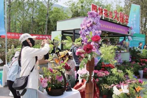 济南园林花市绽放都市生活的诗意绿意