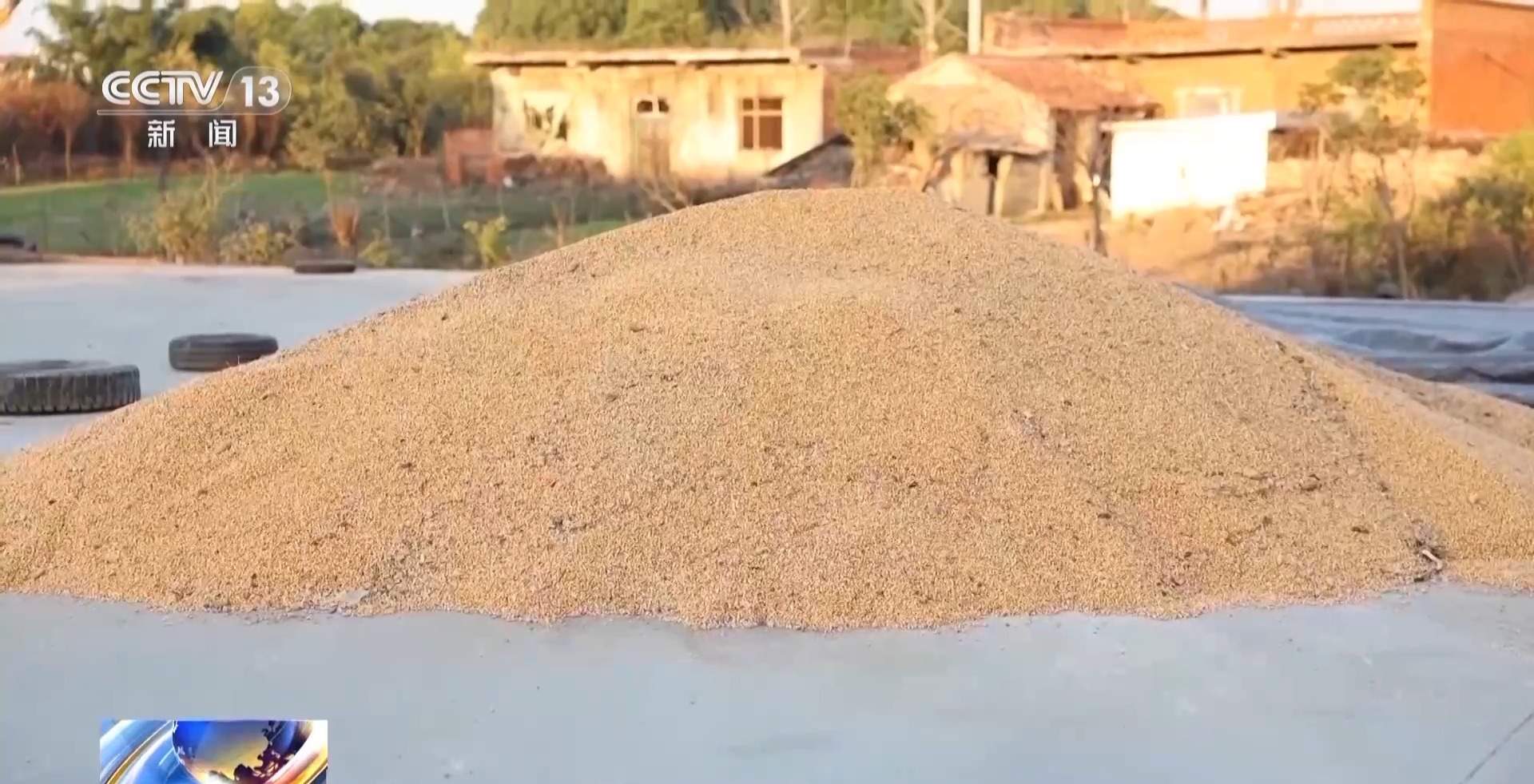 新型“购粮洗钱”骗局曝光 警方提醒