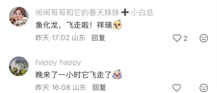 全网都在帮忙盯着,济南被大风吹走的“巨型鳌鱼”到哪了?网友:太有节目了