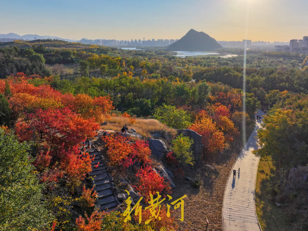 五彩斑斓入画来！卧牛山秋日氛围感拉满