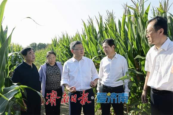 于海田调研督导“三秋”农业生产准备工作时强调 坚决扛牢粮食安全政治责任 抓实抓细“三秋”农业生产