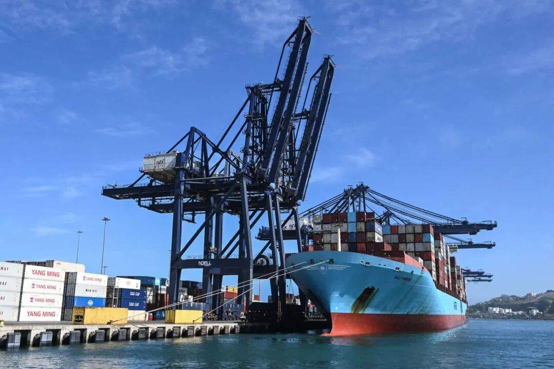 不到一个月,价格腰斩!网友:我可以再等等