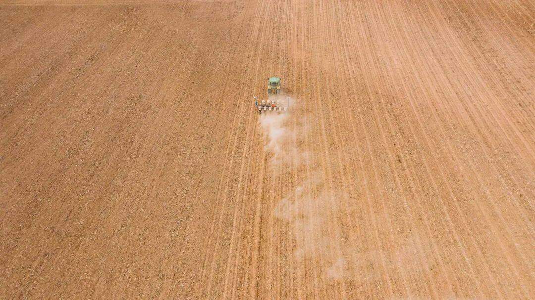 灼言｜山东有“粮”策